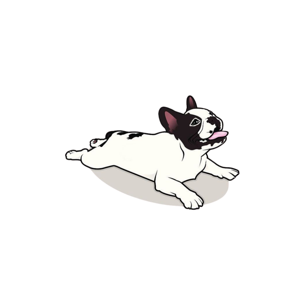 logo zsa-zou
