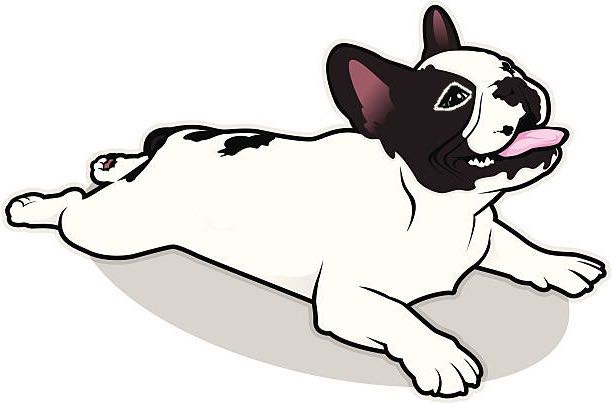 logo zsa-zou